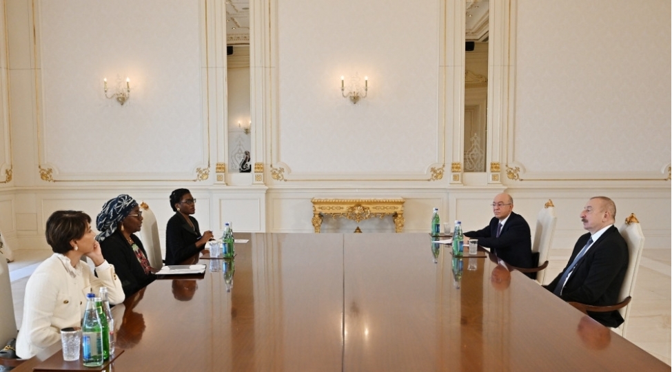 prezident-ilham-eliyev-beynelxalq-mulki-mudafie-teshkilatinin-bash-katibini-qebul-edib