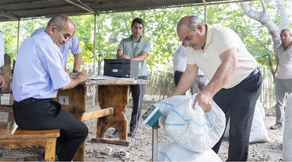 tedaruk-menteqelerine-119-tondan-chox-yash-barama-tehvil-verilib-foto