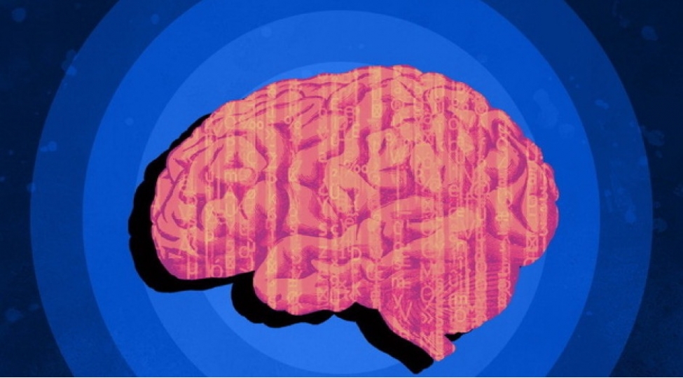 gunun-hansi-vaxti-qavrama-qabiliyyeti-uchun-daha-elverishlidir