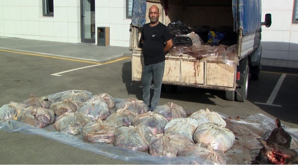 din-ve-aqta-birge-emeliyyat-kechirib-2-ton-at-eti-goturulub-video