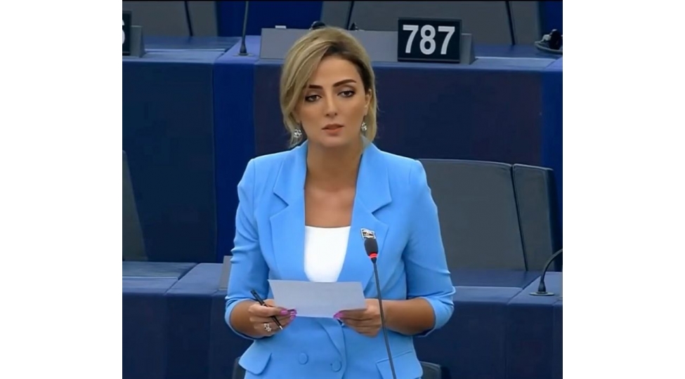 effektiv-mualice-ve-peyvendler-hazirlamaq-uchun-tedqiqat-ve-inkishafa-ustunluk-vermeliyik-konul-nurullayevavideo