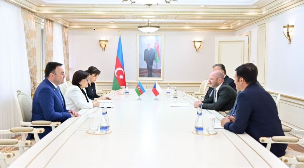 sahibe-qafarova-chexiyali-deputatlarla-gorushub