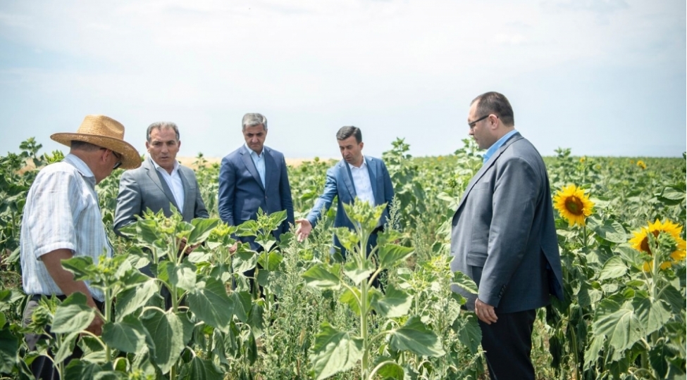 kend-teserrufati-naziri-ismayillida-teserrufatlara-bash-chekib