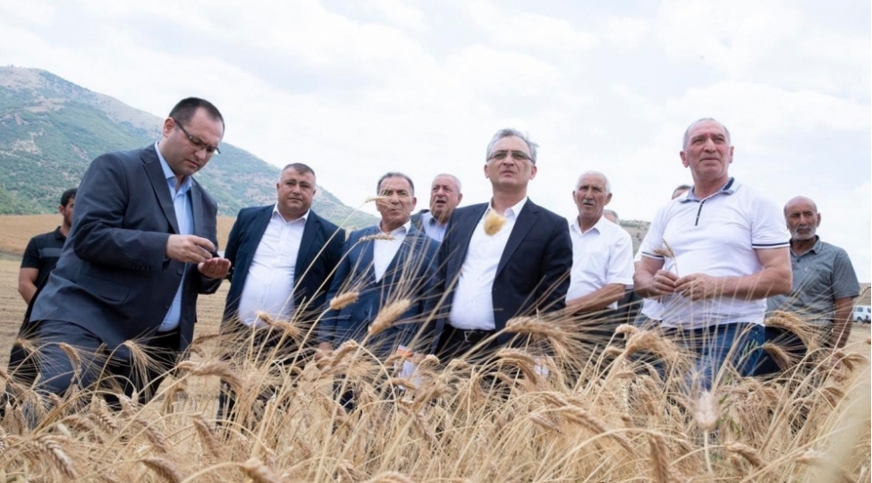 respublikada-taxil-bichini-davam-edir-foto