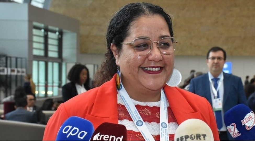 maqali-tinqal-prezident-ilham-eliyevin-fransanin-mustemlekechilik-siyaseti-ile-bagli-dedikleri-heqiqetdir