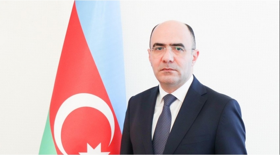 shexsi-istifade-uchun-olkeye-derman-getirilmesi-ile-bagli-hech-bir-mehdudiyyet-yoxdur-nazir-muavini