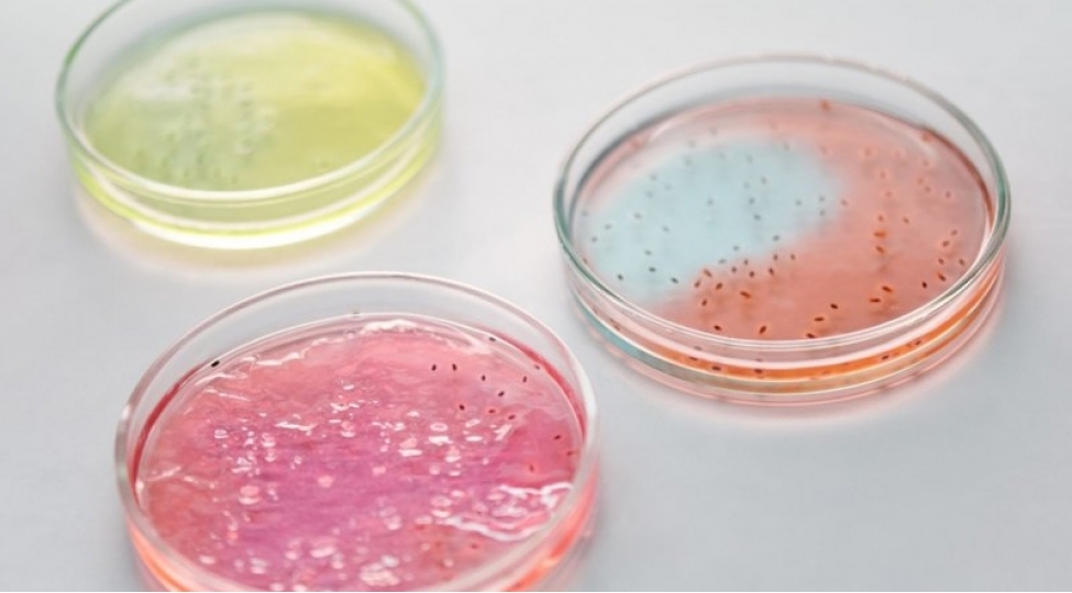 uydurma-kimi-seslenen-10-fantastik-gercheklik-foto