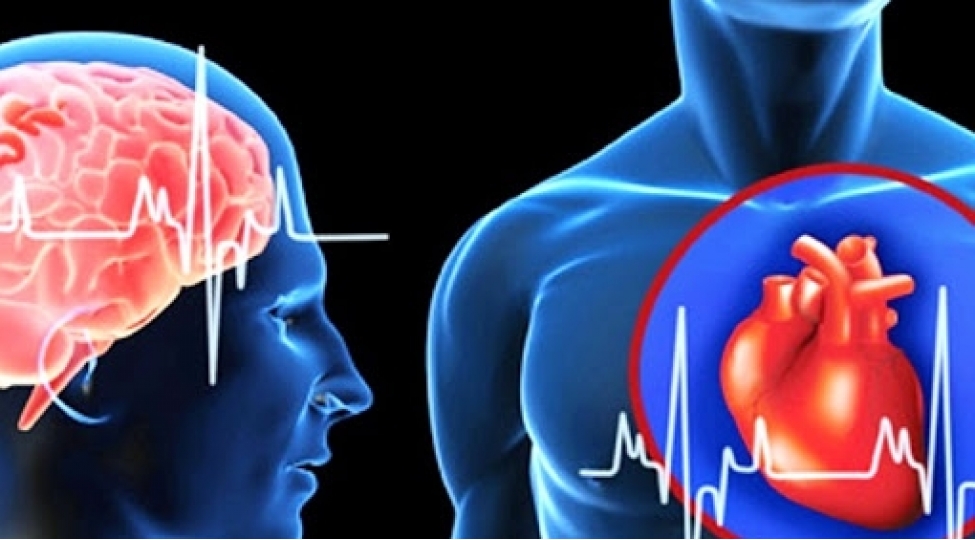 infarkt-ve-insult-elametlerini-nece-ayird-etmek-olar