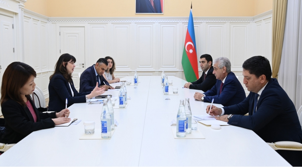 eli-ehmedov-bmt-nin-azerbaycandaki-rezident-elaqelendiricisi-ile-gorushub