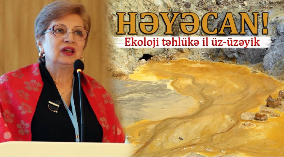 beynelxalq-teshkilatlar-ermenistanin-yaratdigi-ekoloji-tehlukelere-bigane-qalmamalidir-qht-sedri