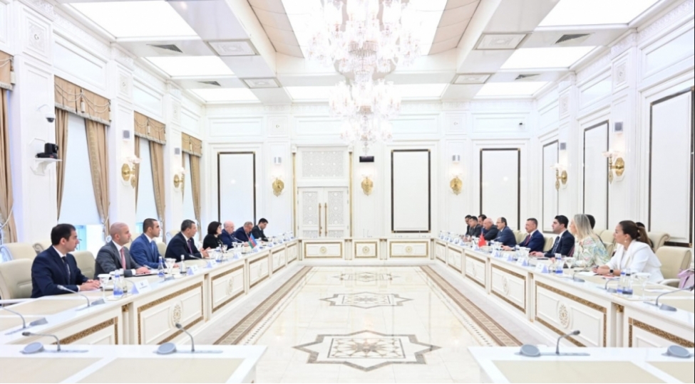 sahibe-qafarova-fuat-oktayla-gorushub