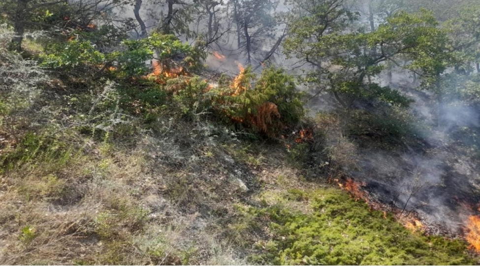 xizida-dagliq-erazide-yangin-olub-fotovideo