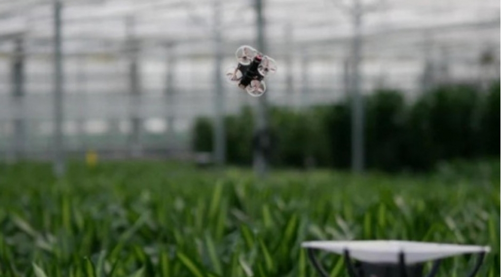 zererli-hesheratlara-qarshi-dron-video