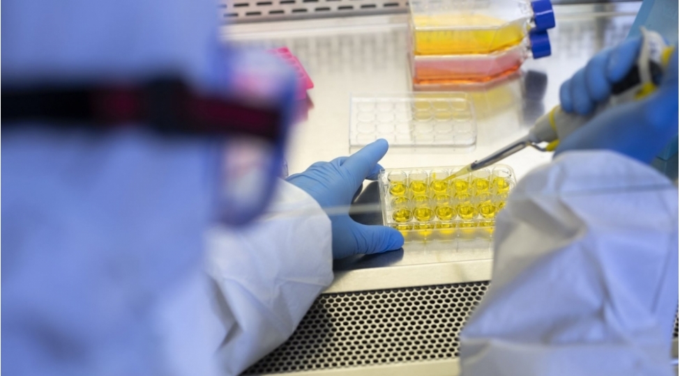 qocalmaqda-olan-zombi-huceyrelerini-mehv-eden-molekullar-keshf-olunub