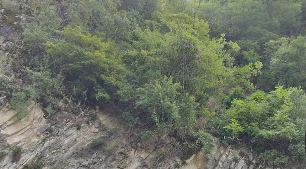 zaqatalada-itkin-dushen-turistlerin-axtarishlari-davam-edir-foto