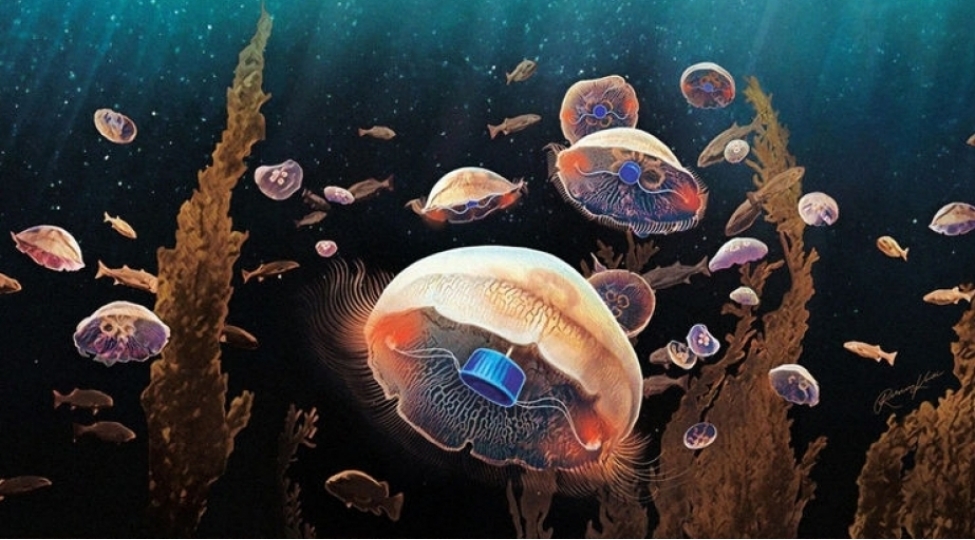 ebedi-yashaya-bilen-canli-tapildi