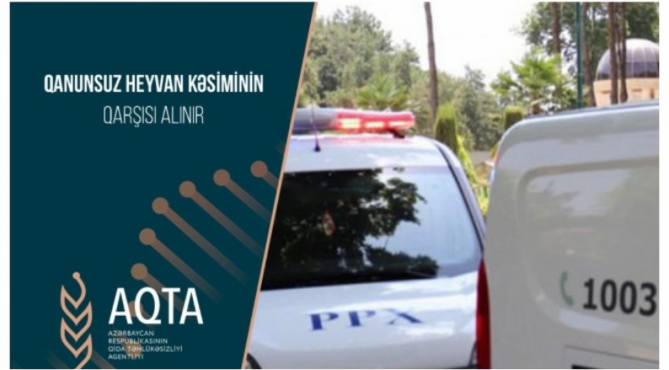 baki-qax-ve-shamaxida-qanunsuz-heyvan-kesiminin-qarshisi-alinib