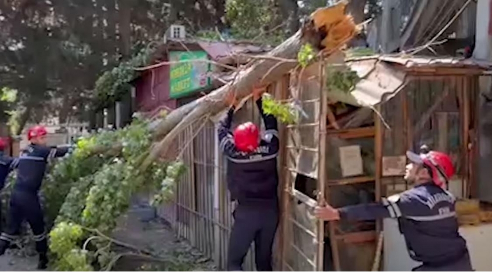 fhn-guclu-kuleyin-toretdiyi-fesadlarin-aradan-qaldirilmasi-istiqametinde-zeruri-tedbirler-gorub