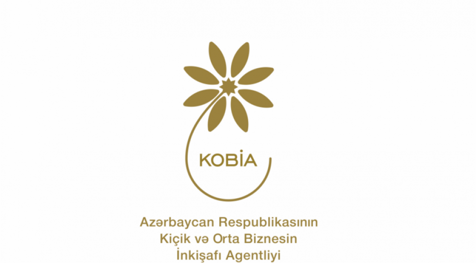 azerbaycanda-i-yarimilde-13-kob-subyektine-startap-shehadetnamesi-verilib