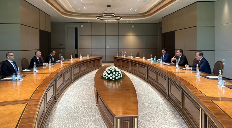 teymur-musayev-tdt-nin-bash-katibi-ve-uzv-olkelerden-olan-hemkarlari-ile-gorushub-foto