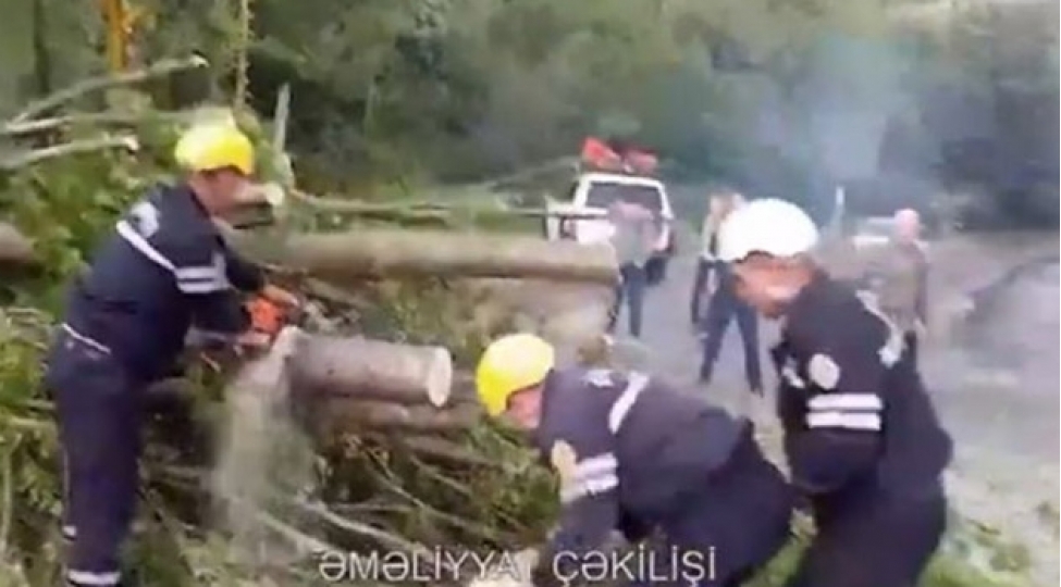 qebelede-avtomobil-yoluna-ashan-agac-goturuldu-video