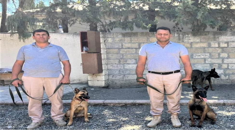 absh-dan-azerbaycana-mina-axtaran-itler-getirilib-foto