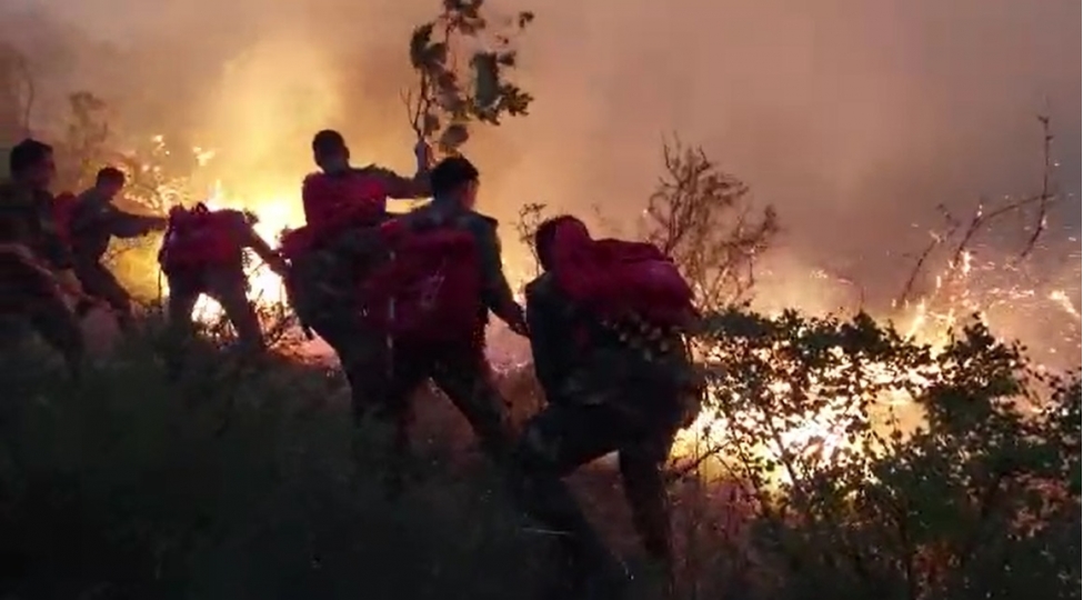 agsuda-dagliq-erazide-bash-vermish-yanginin-sondurulmesi-istiqametinde-tedbirler-davam-etdirilir