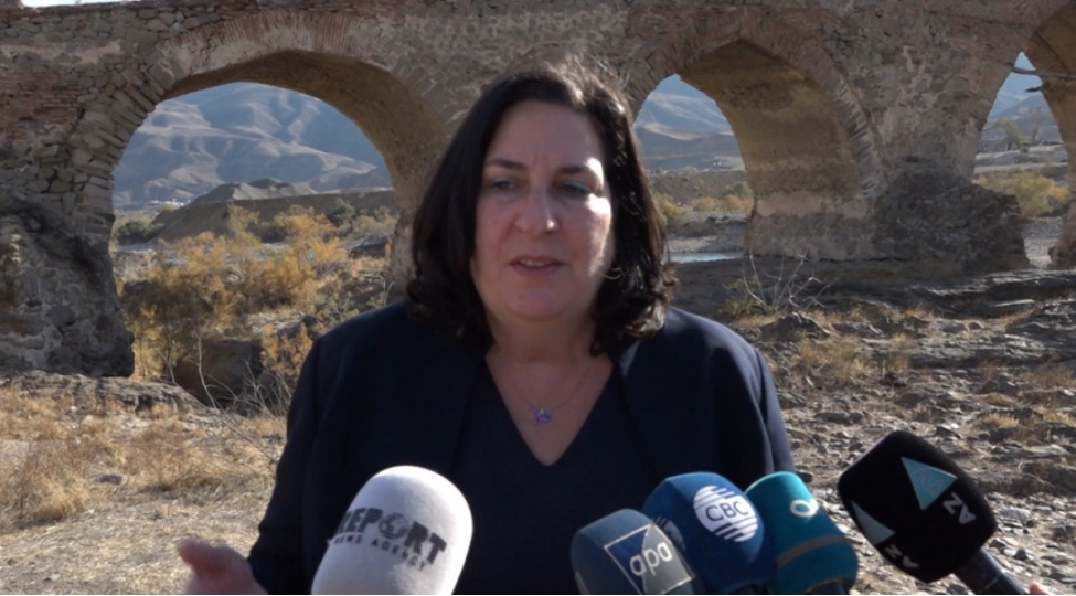 brenda-shaffer-ukrayna-ve-gurcustana-oz-erazilerini-terrorchulardan-temizlemeye-icaze-verilir-lakin-azerbaycana-olmaz