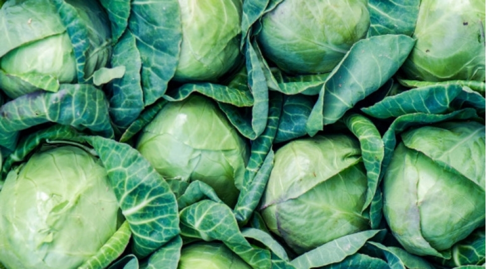 xercheng-riskini-azaldan-qidalar