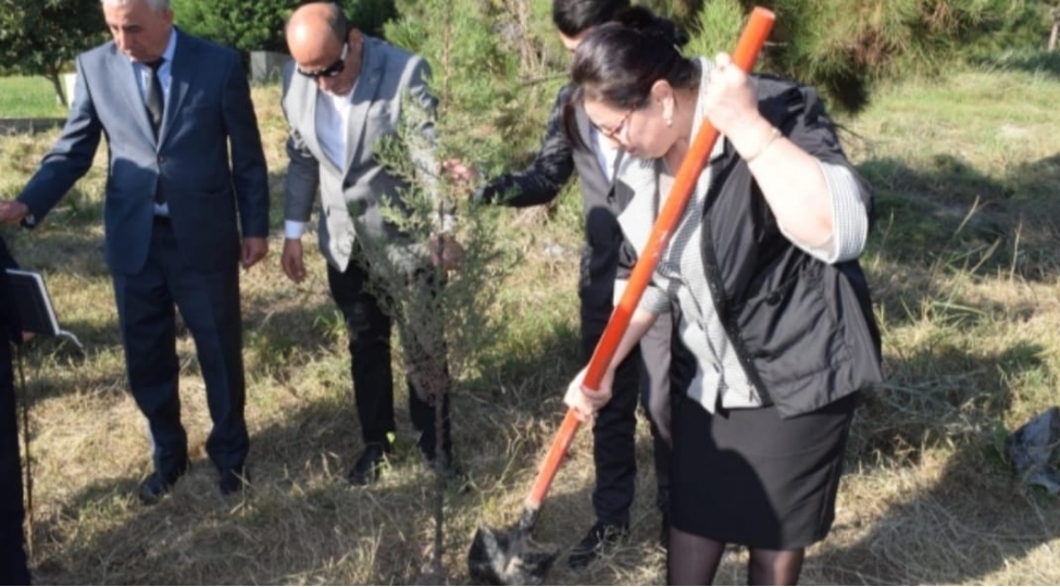 boyuk-zeferlere-aparan-yolun-20-ili-berdede-agacekme-aksiyasi-kechirilib