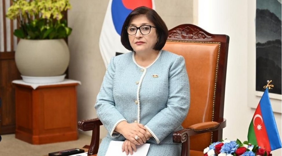 sahibe-qafarova-bezi-olkeler-cenubi-qafqazda-sulhun-yaranmasini-istemirler