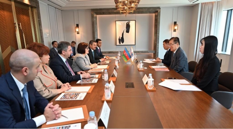 milli-meclisin-sedri-asiya-siyasi-partiyalarinin-beynelxalq-konfransinin-hemsedri-ile-gorushub