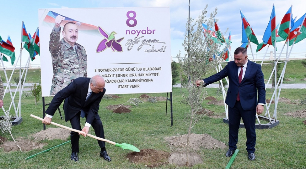 sumqayitda-zefer-gunu-munasibetile-agacekme-aksiyasi-kechirilib-foto