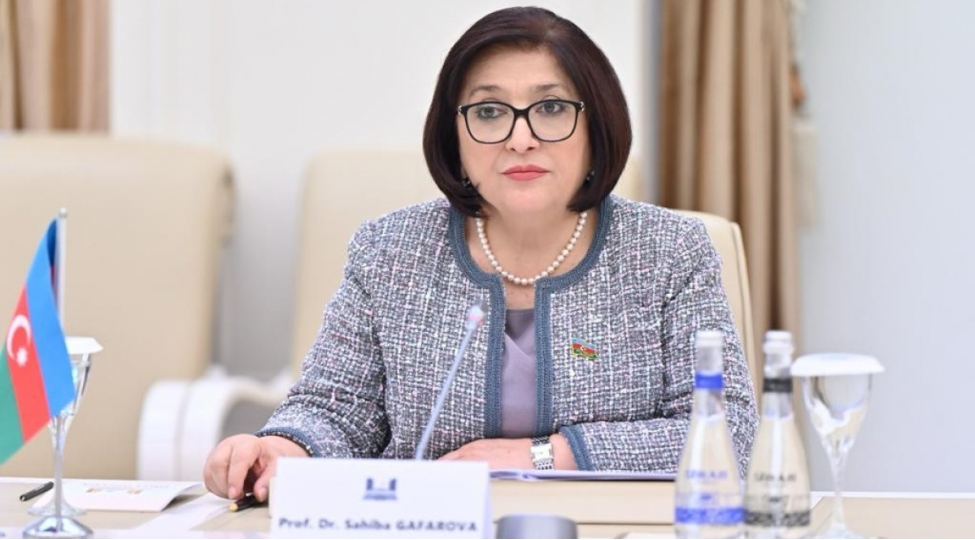 sahibe-qafarova-atet-pa-nin-tedbirleri-ermenistanin-azerbaycana-qarshi-yalan-tebligati-uchun-bir-platformaya-chevrilmemelidir