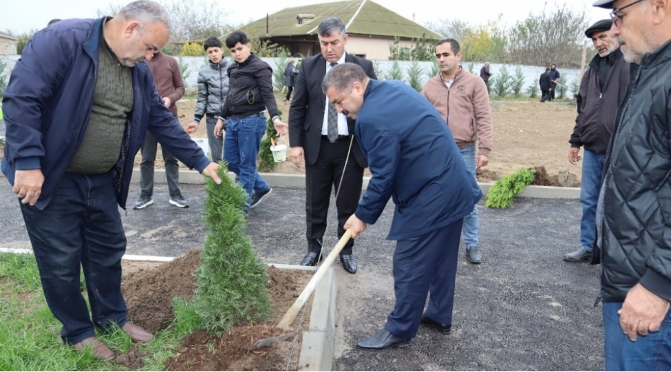 imishlide-heyder-eliyev-ili-cherchivesinde-imeclik-ve-agacekme-aksiyasi-kechirilib-foto