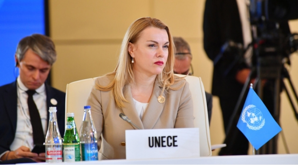 bmt-azerbaycanin-speca-fonduna-maliyye-yardimi-ayirmasini-alqishlayir