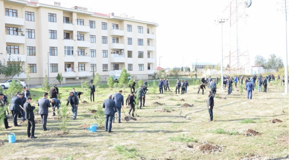 kurdemirde-agacekme-aksiyasi-kechirilib-foto