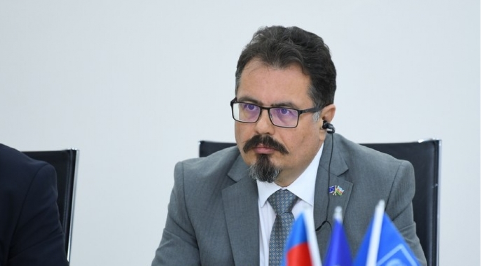 peter-mixalko-ai-azerbaycanda-mina-probleminin-aradan-qaldirilmasinda-maraqlidir