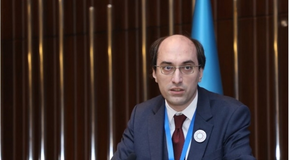 muselman-qetllerinin-arxasinda-hemishe-ermeniler-dayanib-fransali-tarixchi