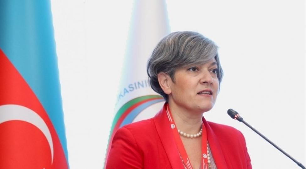 dunyada-uch-qadindan-biri-zorakiliga-meruz-qalir-avropa-shurasinin-resmisi