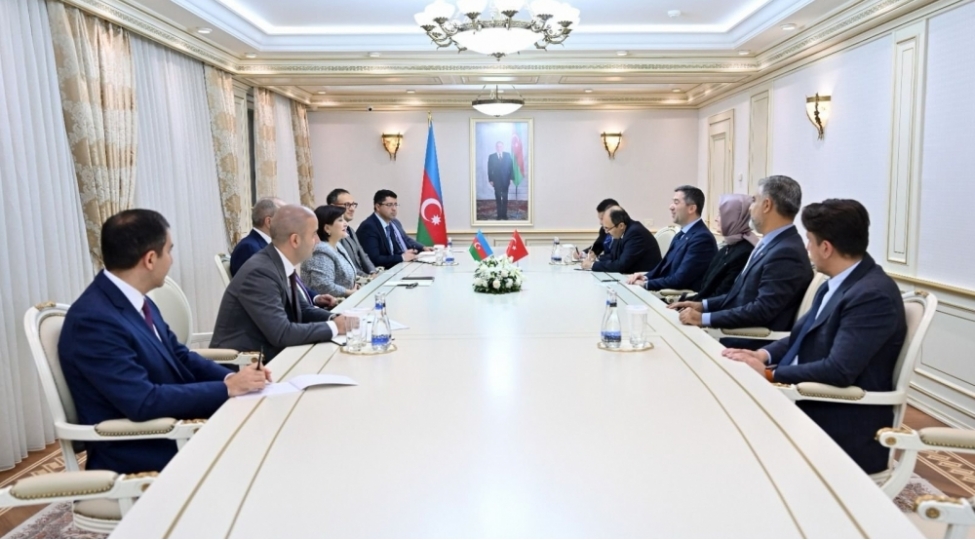 sahibe-qafarova-edalet-ve-inkishaf-partiyasinin-sedr-muavininin-bashchiliq-etdiyi-numayende-heyeti-ile-gorushub-foto