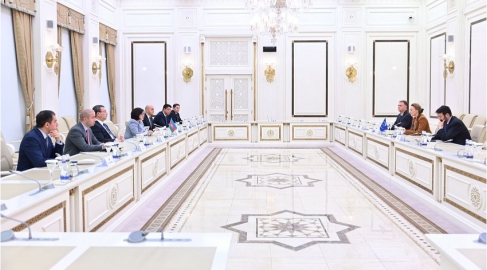 sahibe-qafarova-avropa-shurasinin-bash-katibi-ile-gorushub