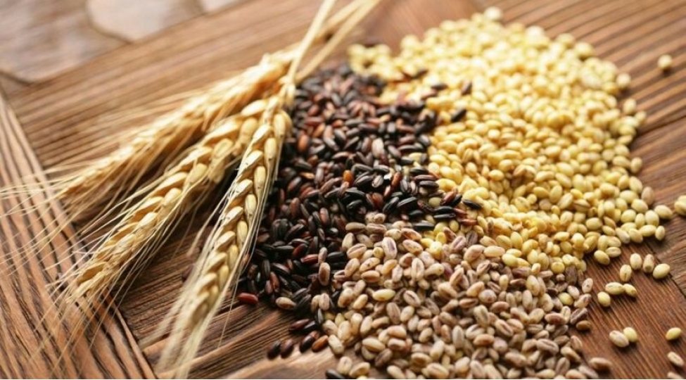 nazirler-kabineti-qida-ve-yem-mehsullari-ile-bagli-qerar-verib