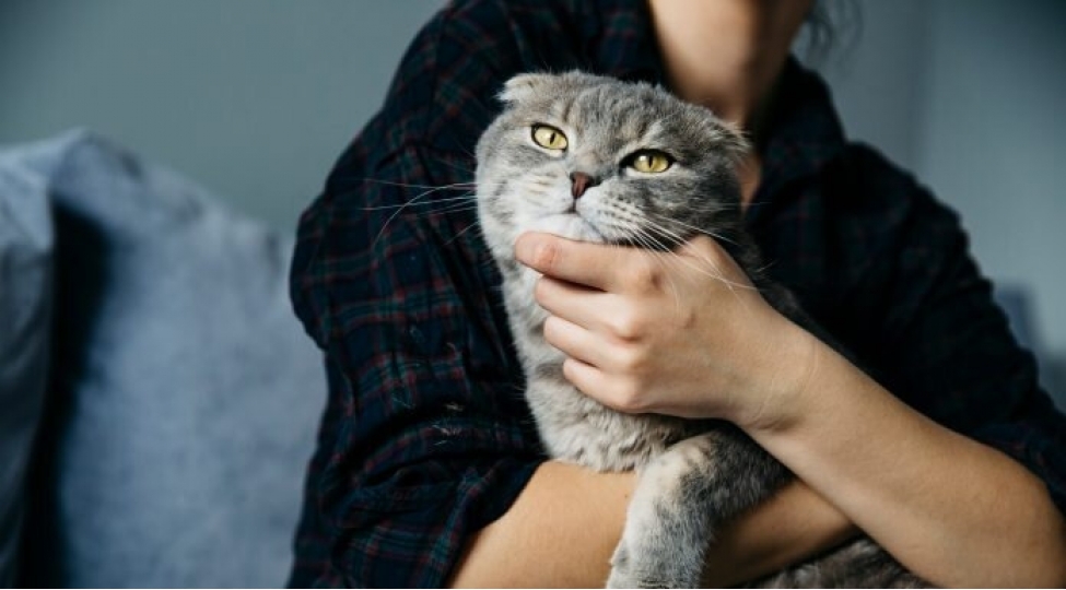 pishiklerle-shizofreniya-arasinda-ne-elaqe