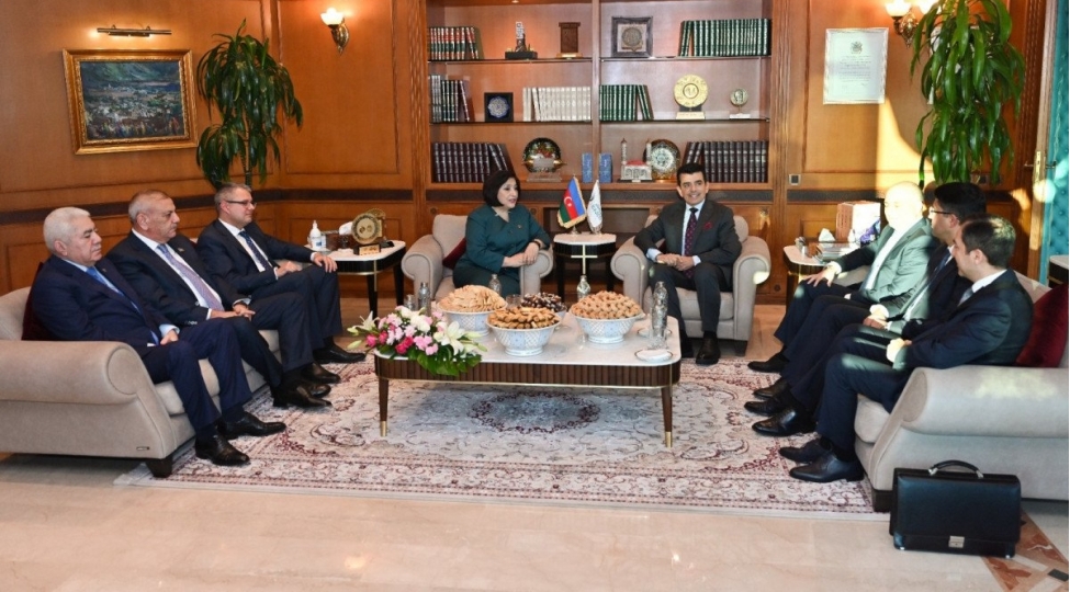 milli-meclisin-sedri-icesco-nun-bash-direktoru-ile-gorushub