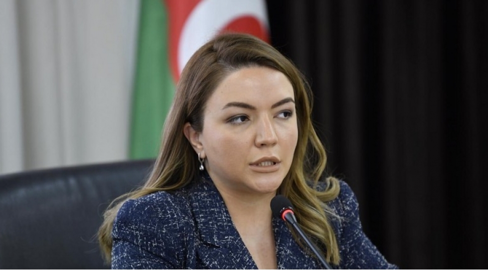 aygun-eliyeva-cop29-un-azerbaycana-hevale-edilmesi-tehlukesizlikle-baglidir