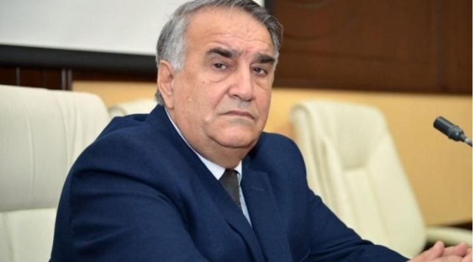 sechkilerde-ilham-eliyevi-destekleyecem-resulzadenin-nevesi