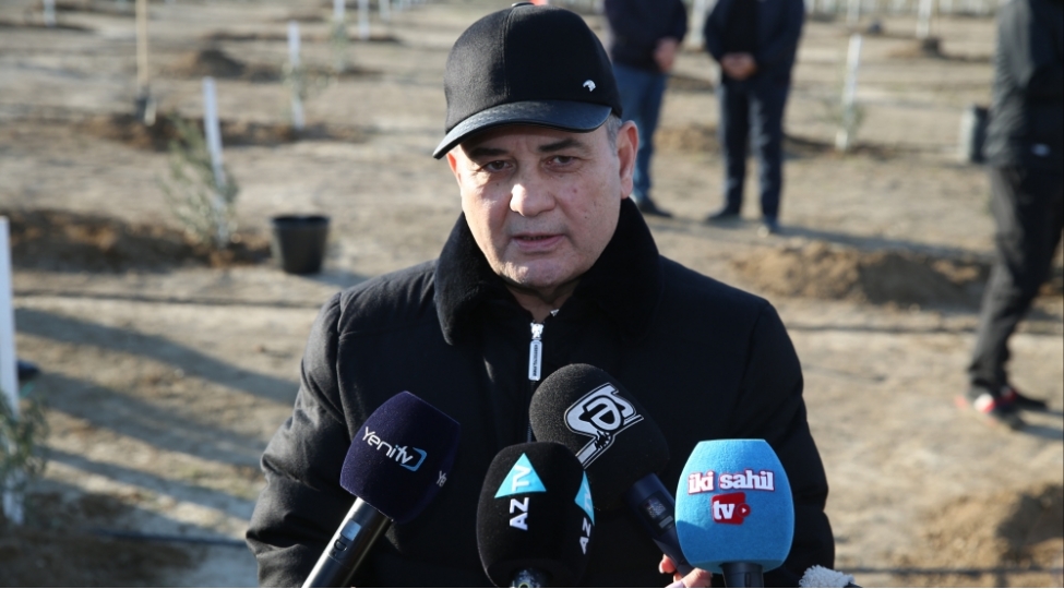 agacekme-aksiyalari-olkemizin-ekoloji-veziyyetine-musbet-tesir-gosterir-tahir-budaqov