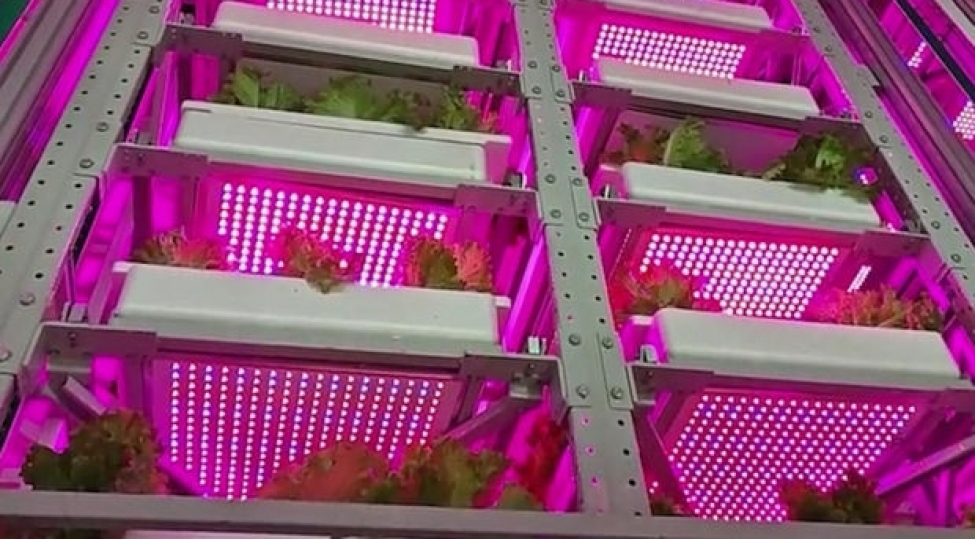 chinde-dunyanin-en-hundur-terevez-fermasi-achilib-video