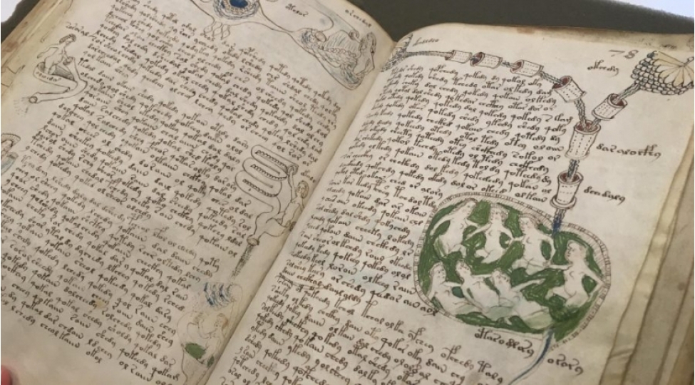suni-intellekt-600-illik-voynich-elyazmasinin-sirrini-achib